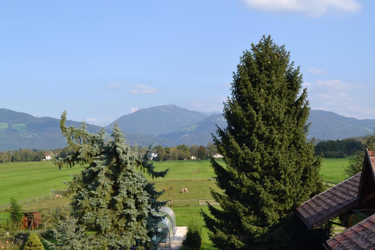 Ferienwohnung Schmiedhansl Moos Salzburg Ngoại thất bức ảnh